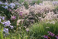 Les plantations des Prairies comprennent Echinachea purpurea, Phlox paniculata et Melica ciliata, Jan Spruyt Nursery.