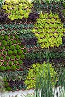Mur vivant vertical - planté de plantes succulentes - RHS Chelsea Flower Show 2013
