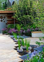 RBC Blue Water Roof Garden, lauréat de la médaille d'or, Chelsea Flower Show 2013. Juncus effusus dans des pots en pierre circulaires placés en eau peu profonde le long du chemin du bois