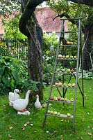 Pommes sur une vieille échelle en bois dans un jardin de chalet, oies en céramique