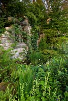 Mur de pierre avec plantation humide et ombragée. 'Windows à travers le temps' au RHS Chelsea Flower Show.