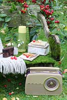 Un banc rustique recouvert de mousse avec une bouteille isotherme, une boîte à lunch, un jeté en laine, un appareil photo, un vase de myrtilles, une radio Bush, un livre, un bloc-notes et un crayon