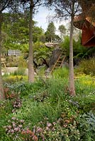 Trailfinders Australian Garden, Chelsea Flower Show 2013. Plantation indigène avec immeuble de studios perché sur les falaises et la cascade.