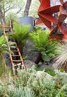 Trailfinders Australian Garden, Chelsea Flower Show 2013. Immeuble de jardin moderne avec des fougères arborescentes, une échelle et un talus d'eau.