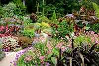 Parterre de fleurs informel joliment composé de bulbes exotiques et de vivaces tropicales de fin d'été serpentant entre les parterres