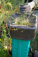 Déchiqueter les boutures d'asperges pour les ajouter au compost.