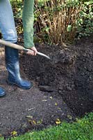Double creusement - Creuser la section suivante du parterre de fleurs et ajouter de la terre sur le compost.