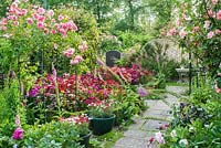 Vue du jardin de la ville formelle avec Buxus - Bordure de boîte, Roses poussant sur des arches sur des chemins. Pivoines, Dianthus - Sweet williams et Digitalis - Foxgloves