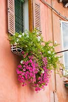 Boîte de fenêtre, Venise, Italie