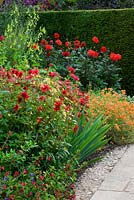Lanhydrock jardin parterre de fleurs chaudes avec Salvia 'Cerro Potosi' Dahlia 'Robin Ragged et Dahlia' Grenadier ''