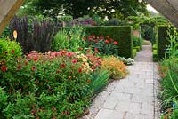 Chemin dans le jardin Lanhydrock parterre de fleurs chaudes avec Salvia 'Cerro Potosi' et Dahlia 'Ragged Robin', Dahlia 'Grenadier'