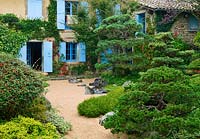 Jardin de style japonais - vue sur le côté est de la maison avec volets bleus, jardin de gravier, rochers et pin sylvestre taillé