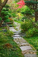 Jardin de style japonais avec chemin de pierre, bordure en bambou et pins taillés