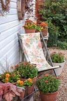 Pots d'automne sur le thème orange avec transat. Les plantes comprennent Viola 'Cats Whiskers Orange', chrysanthèmes, Heuchera et Carex