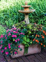 Pot de patio planté d'Impatiens, Pelargonium, Coleus et Polystichum