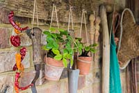 Porte-outils rustique avec des plantes dans des pots en terre cuite et des outils rénovés