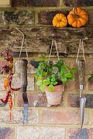 Porte-outils rustique avec des plantes dans des pots en terre cuite et des outils rénovés