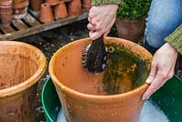 Enlever l'écume et la crasse des grands pots en terre cuite avec une brosse et un filet d'eau pétillante
