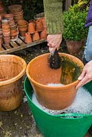 Enlever l'écume et la crasse des grands pots en terre cuite avec une brosse et un filet d'eau pétillante