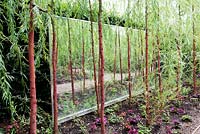 Mur de miroir reflétant des plantes dont Geranium 'Tiny Monster', Geranium phaeum 'Samobor' et Salix sepulcralis 'Chrysocoma '.