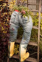 Une paire de jeans rembourrés pour ressembler à un jardinier - les jeans sont un pot avec Carex oshimensis 'Evercolor', Alto, Ophiopogon, Next to jeans - Hibiscus 'Mahogany Splendor', Cornus sericea 'Golden Red Twig'