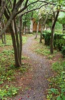 Le verger de pruniers. Le jardin du concepteur et éditeur de jardins suédois Ulla Molin, 1909-1997 à Hoganas, Suède, en 1996, quand Ulla Molin était encore en vie.