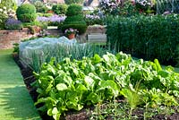 Oignons, épinards et haricots perpétuels en bordure de légumes avec topiaire en spirale Buxus, bordure végétale en brique surélevée Rosa et marches menant au jardin de fleurs et à la maison au-delà