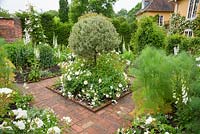 Jardin blanc avec chemin de béton incrusté de motifs de briques et de tapis de fleurs Rosa blanc Blanc = 'Noaschnee' autour d'un arbuste panaché topiarisé au centre et entouré de digitales, de delphiniums et de clématites