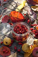 Affichage d'automne de fruits et d'églantier sur table.