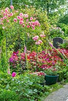 Vue du jardin de la ville formelle avec Buxus - Bordure de boîte, Roses poussant sur des arches sur des chemins. Pivoines, Dianthus - Sweet Williams et Digitalis - Foxgloves
