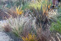 Le jardin maori de Laquenexy - Phormium, Stipa tenuissima