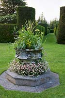 Police en pierre planté comme pot avec des marguerites erigeron cordyline anthemis - Cothay Manor, Greenham, Somerset, Angleterre été fin juin jardin