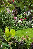 Large vue sur le jardin de fin d'été avec pelouse. Les plantes comprennent, Hibiscus, Ricinus, Sedums. Canna 'Striata', Canna 'Tropicanna' avec d'autres fleurs exotiques de parterre de fleurs