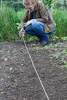 Utiliser une ligne de jardin pour délimiter un potager