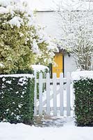 Piquet blanc dans une haie d'ifs. Cottage avec porte d'entrée jaune. Euonymus fortunei 'Silver Queen '.