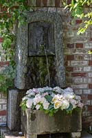 De l'eau jaillit sur une couronne de pivoine dans une auge en granit à côté d'un mur de briques. Les variétés sont 'Jan van Leuwen', 'Lady Alexander Duff' et 'Mme. Claude Tain'
