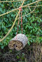 Une retraite d'insectes suspendue, faite d'écorce et de matériel de nidification