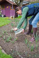 Femme utilisant du sable pour délimiter les parterres de fleurs pour la plantation.