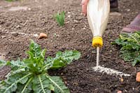 Utiliser du sable dans une bouteille pour délimiter les parterres de fleurs à planter.