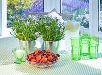 Réglage de la table avec des verres verts, un bol de fruits et des pots en métal plantés d'Isotoma axillaris