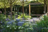 L'espoir à l'horizon, le jardin de l'aide pour les héros. Chelsea Flower Show 2014. Cubes de pierre avec plantation mixte et arbres, y compris Carpinus betulus fastigiata.