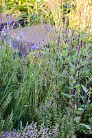 Vue sur des blocs de granit plantés de Salvia nemorosa 'Caradonna' et d'Iris. L'espoir à l'horizon.