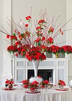 Table à manger dans un cadre blanc décoré d'une pièce centrale de vase blanc rempli de poinsettia 'Christmas Feelings Red'