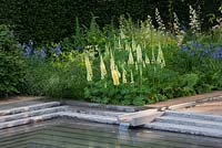 Le Jardin Laurent Perrier, RHS Chelsea Flower Show 2014. Rill coulant dans l'étang de jardin avec Lupinus 'Cashmere Cream' et Lupinus 'Chandalier' et Iris 'Persimmon'