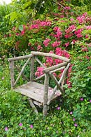 Chaise en bois de châtaignier par Stéphane Chassine avec Rosa 'Maria Lisa '. Les Jardins de Roquelin, Val de Loire, France