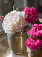 Vintage tasses de roses argentées: Rosa 'Gruss an Aachen', Rosa 'Belle de Remalard '. Les Jardins de Roquelin, Val de Loire, France