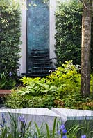 Jardin aquatique RBC. Vue sur mur d'eau et banc moderne géométrique en béton entouré d'Osmunda regalis, Rodgersia podophylla.