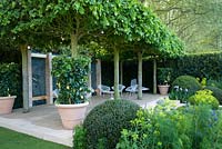 The Telegraph Garden, RHS Chelsea Flower Show 2014, médaillé d'or. Loggia à l'arrière du jardin à l'italienne avec des sièges en fil métallique blanc. Citronniers en pots. Tilia x europea 'Pallida' pêche