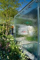 Mur de verre avec de l'eau en cascade. Parterre de fleurs naturaliste lâchement planté de plantes vivaces aimant l'ombre. Le jardin Mind's Eye pour le RNIB, médaillé d'or. RHS Chelsea Flower Show 2014.