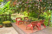 Chaises de style fusion asiatique sur terrasse en bois avec Cercis canadensis 'Forest Pansy' - Eastern Redbud, Musa basjoo - Japanese Banana.